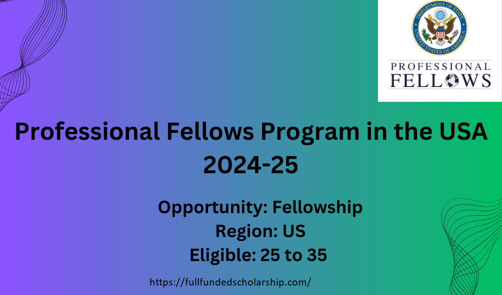 Professional Fellows Program in the USA 2024-25
